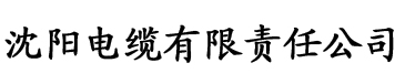 红桃影视免费在线播放电缆厂logo